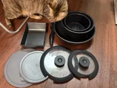 Item thumbnail for item b28bb21d-5904-47a9-aad2-37355cb58caf