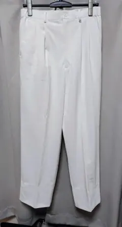 ナガイレーベン 白衣 パンツ ズボン メンズ Lサイズ HO-1953