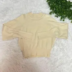 MOUSSY マウジー COMPACT RAGLAN KNIT トップス