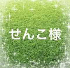 せんこ様