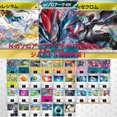 Nのゾロアークデッキ 60枚構築済み　ジムバトル優勝ガチ構築