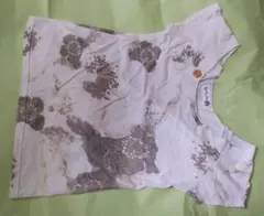 Item thumbnail for item c76b0ff6-f364-47c2-9366-bc256e842e24