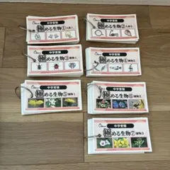 2026年最新】暗記カード サピックスの人気アイテム - メルカリ
