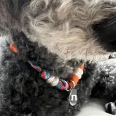 【ハンドメイド】犬用 パラコード チョーカー ネックレス 迷子札 マルチカラー