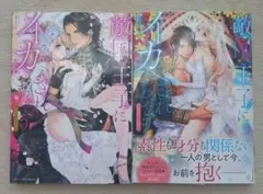 敵国王子にイカされちゃう ②③ 2冊セット