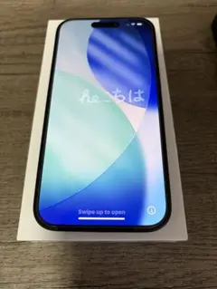 【極美品・付属品おまけ付】iPhone 15 256GB ブラックSIMフリー