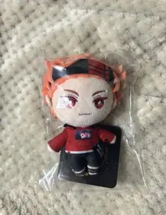 【お顔写真追記】ツイステ　くつろぎマイルーム　ミニミニぬいぐるみ　エース