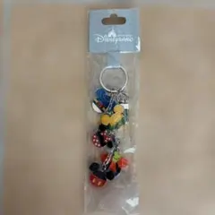 香港ディズニーランド キーホルダー