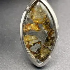 2026年最新】パラサイト隕石の人気アイテム - メルカリ