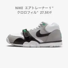 エアトレーナー1