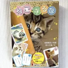 Item thumbnail for item 18a04704-f773-4ed5-8420-76d90e597ade