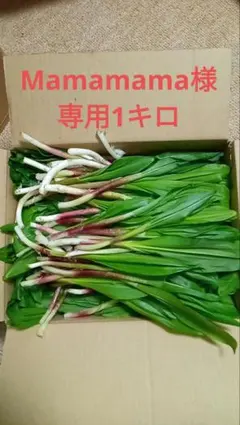 Mamamama様専用1キロ