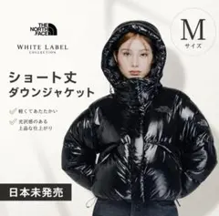 【韓国限定】ノースフェイス ダウンジャケット ショート丈 グロッシー M