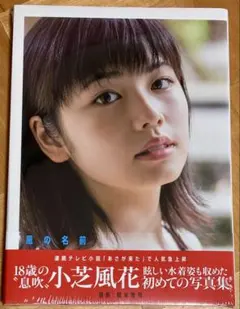 Item thumbnail for item 8ab84d3b-92ac-4278-8835-6908421499af