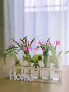 アンジョリーナジョリ様 リクエスト 7点 まとめ商品