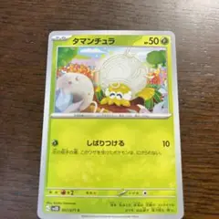 タマンチュラ