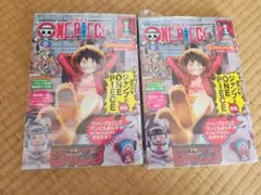 ワンピース　マガジン　プロモカード付き　モンキー・D・ルフィ　2冊