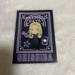 SAKAMOTODAYS カジノディーラー購入特典 ランダムフォトカード 神々廻