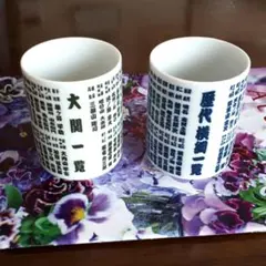 ☘️【大相撲】湯飲み2点セット☘️