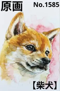 【柴犬】手描きイラスト 原画 《1585》