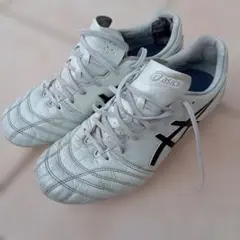 asics DSライト ワイド 29cm 新品未使用品 試着のみ | Mercari