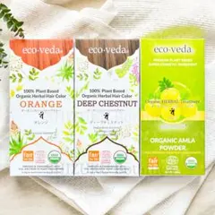 正規品】eco veda®︎ヘナ2箱&マヘンディシャンプー&トリートメント