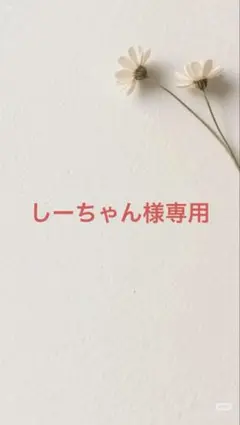 ワンピース　ホワイトS