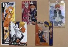 ハイキュー‼︎ 日向翔陽