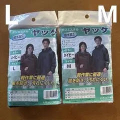 Item thumbnail for item 76eab24d-eaef-4dfc-bb4e-1cbba792cfdc