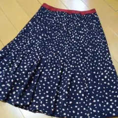 anyFAM エニィファム☆プリーツスカートのサムネイル