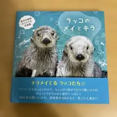 メルカリ他出品者より最安値！ ラッコのメイとキラ 写真集 2026年最新】ラッコのメイ 写真集の人気アイテム - メルカリ