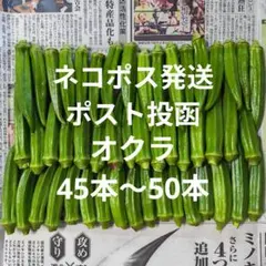オクラ 45本〜50本のサムネイル