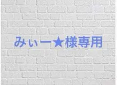 みぃー★様専用 騎士団の金庫番 他