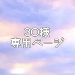 3O様専用ページ