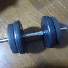 【引取限定】BODYMAKER 固定式ダンベル 15kg×2個 （希少） 引取限定】BODYMAKER 固定式ダンベル 15kg×2個 （希少） - メルカリ