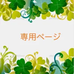 ドクターデオドラント ミョウバンスプレー EX （30ml）１０本セット