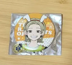 氷の城壁 THEキャラ 缶バッジ 安曇美姫 - メルカリ