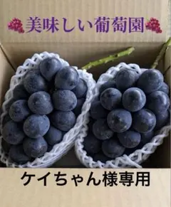 ケイちゃん様専用ナガノパープル2房