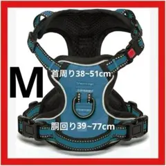 Item thumbnail for item 54430cfc-b9df-416a-bbb6-bf5de7f23823