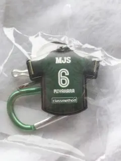 Item thumbnail for item 4d35dc7a-628c-443d-8cb6-6f43c31eb19e