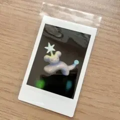 タテヤマフユコ チェキ