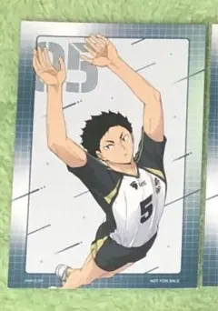 ハイキュー!! フェア特典 赤葦京治1枚