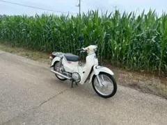 ホンダ スーパーカブ110 ja44のサムネイル