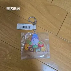 【匿名配送】やさいのがっこう　アクリルキーホルダー　未使用