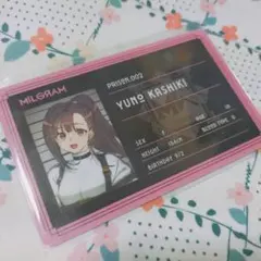 Item thumbnail for item 007b22bc-83fe-420e-bd70-ce80beeb3190