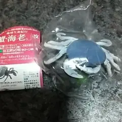 サワガニ様用 サワガニ様用 サワガニ様用 サワガニのおすすめ人気商品一覧
