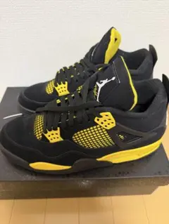 NIKE AIR JORDAN 4 THUNDER 28.5のサムネイル