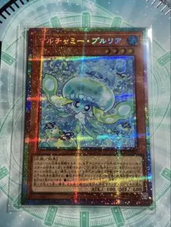 マルチャミープルリア　プリズマ