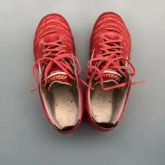 モレリアネオIV赤色