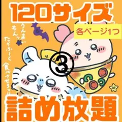 詰め放題　【120サイズ】③